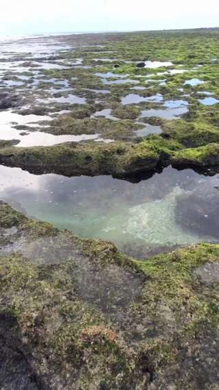台湾の世外桃源♪緑島の海で遊んできました！