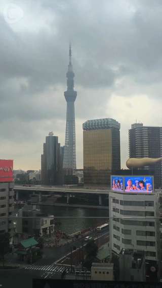 Viewing all of Asakusa town from a-littl