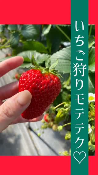 いちご狩りモテテク♡