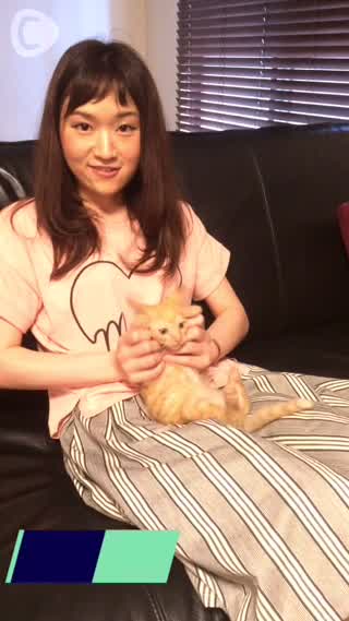 やんちゃ子猫♡きな胡くん