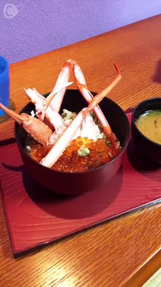 【エリカと行く城崎温泉旅part2】温泉づくし！海鮮づくし！！