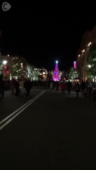 USJにある世界一の光のツリー！！