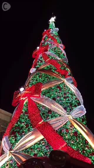 4年連続ギネス認定！USJの世界一になった光のツリー