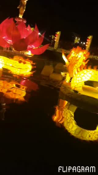 夜のホイヤンが素敵すぎるっ！