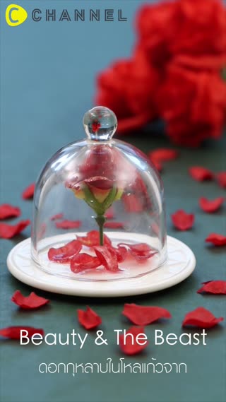 ดอกกุหลาบในโหลแก้วจาก Beauty & The Beast