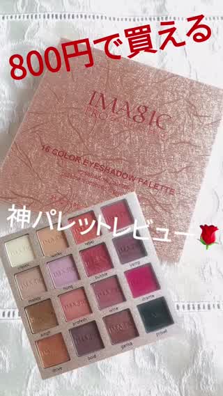 ＼なんと！800円で買える！／神パレットをレビュー！