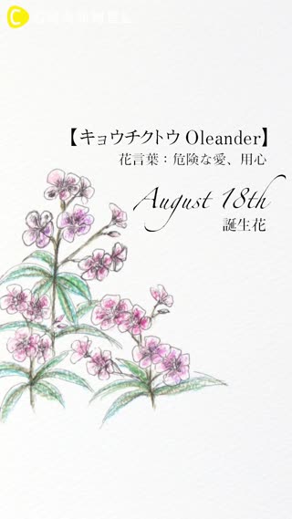 8月18日の誕生花 キョウチクトウ C Channel