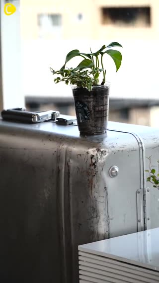 杯子用完不要丟！還能化身時尚小盆栽