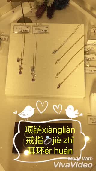 【ライフスタイル+中国語】ーネックレス 指輪 イヤリング