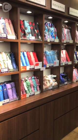 "Looks like a stuffed animal!" Find cute