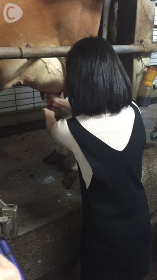 AUTUMN号第4回  続いて搾乳体験。イメトレしたら、早速ミルクを絞るゾ！