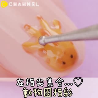 在指尖集合..♡動物園指彩