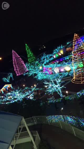 アクティブにイルミネーションが楽しめるコースinよみうりランド