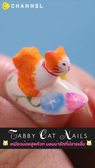 เหมียวน้อยสุดคิ้วท์ นอนน่ารักที่ปลายเล็บ