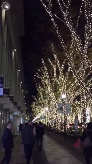 王道デートコース！表参道並木道と東急プラザのイルミネーション