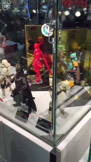 I Went to the Star Wars Party!!