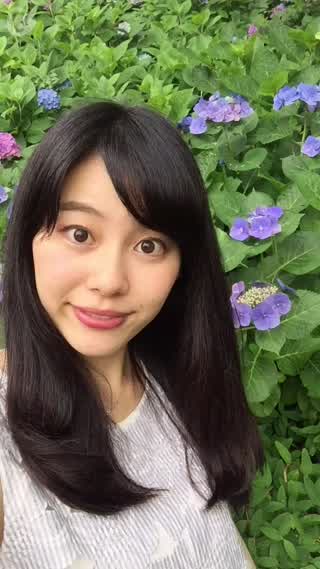 【鎌倉散策】長谷寺の彩り豊かな紫陽花を鑑賞