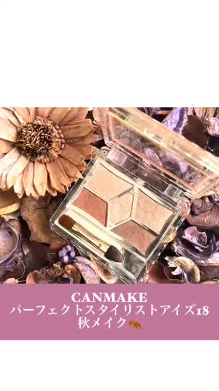 CANMAKEパーフェクトスタイリストアイズ18で秋メイク✨