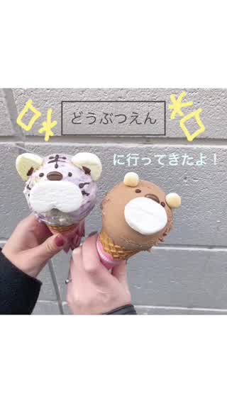 インスタ映え間違いなし？！原宿電気商会【どうぶつえん】おすすめアイス＊