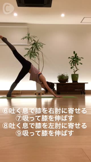 お腹とお尻の引き締め ダウンドッグのバリエーション