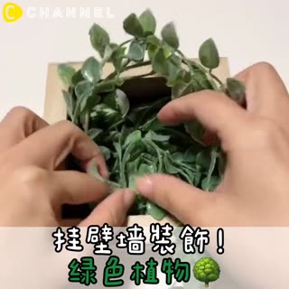 掛壁牆裝飾！綠色植物🌳