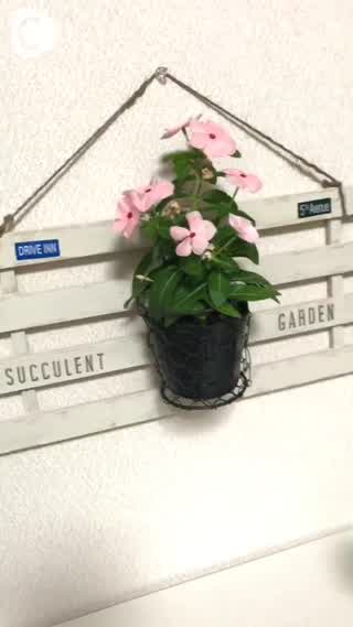 簡単！すのこでウェルカムボード