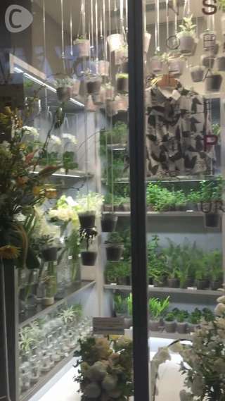 原宿URBAN RESEARCHで春服探し♪