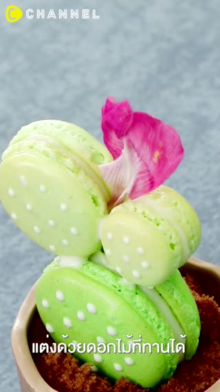 มาการองกระบองเพชร ชิ้นเล็กน่ารักอิ่มพอดี