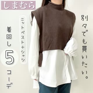 【しまむら】別々でも欲しい♡ニットベスト＋シャツSetで着回し