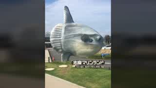 志摩マリンランドを見て触れて楽しむ＼(^^)／