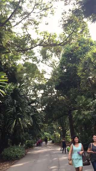 【シンガポール最新情報】ジャングルの中でご飯を食べよう！