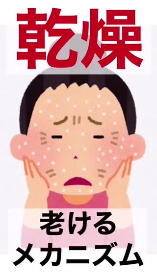 【1番老ける】乾燥‼️そのメカニズムと対策‼️BELL PALETTE