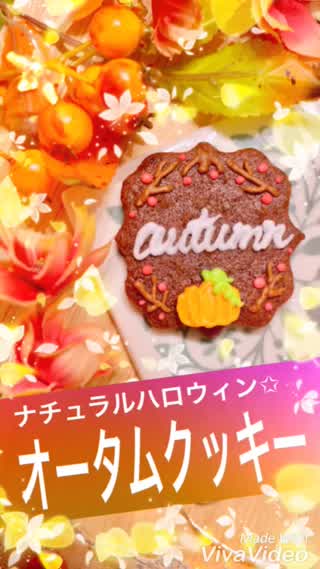 ナチュラルオータムクッキー✧︎*。