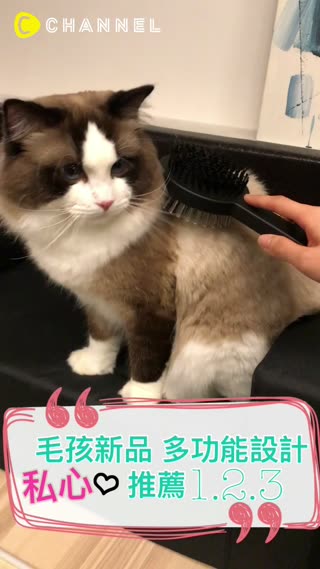 【毛小孩好幸福！IKEA聽見主人心聲啦】