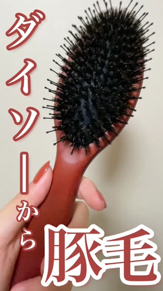 通常は3000円くらいする豚毛ブラシがDAISOで買えた！