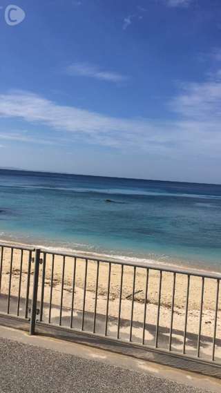 沖縄2日目！美ら海水族館へ～