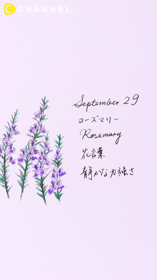 9月29日の誕生花 ローズマリー C Channel