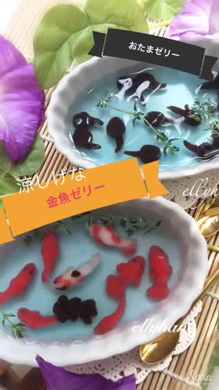 涼しげな金魚ゼリー &おたまちゃんゼリーも