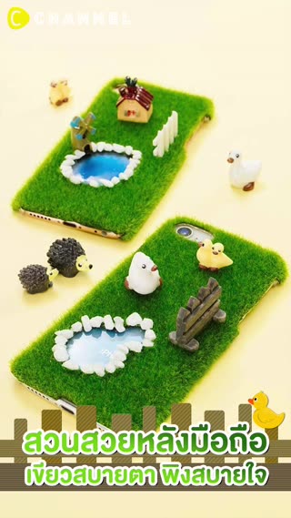 สวนสวยหลังมือถือ เขียวสบายตา พิงสบายใจ  