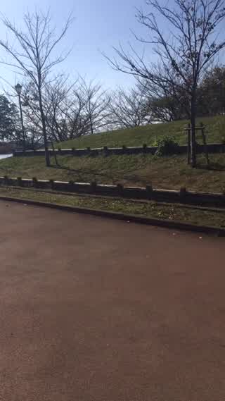 季節を感じるおさんぽコース