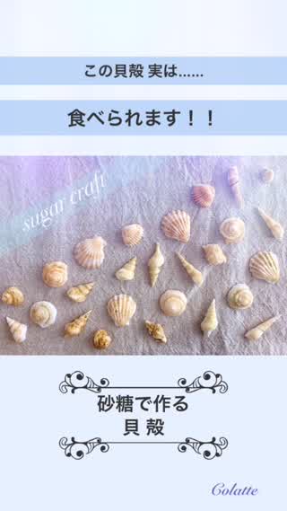 本物そっくり！食べられる貝殻で夏のお菓子をかざっちゃおう！