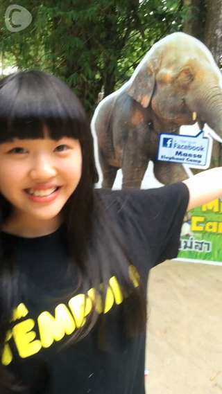 TEMPURA KIDZ × ぞうさんタイのメーサーエレファントキャンプに興奮③