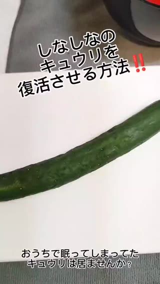 きゅうりの復活方法