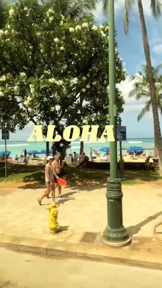 ハワイに行ってみて…