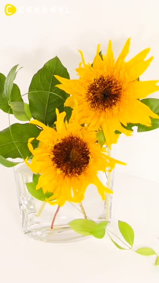 添加夏日氣息★動手玩插花