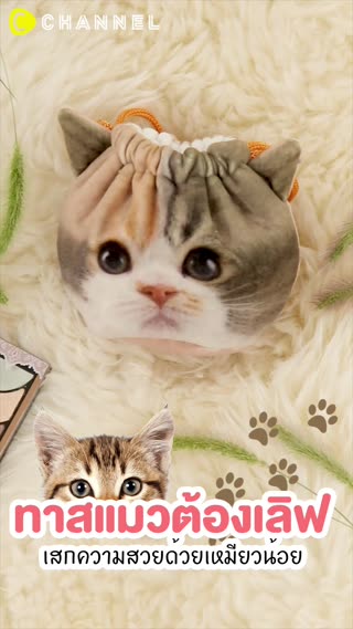 ทาสแมวต้องเลิฟ เสกความสวยด้วยเหมียวน้อย