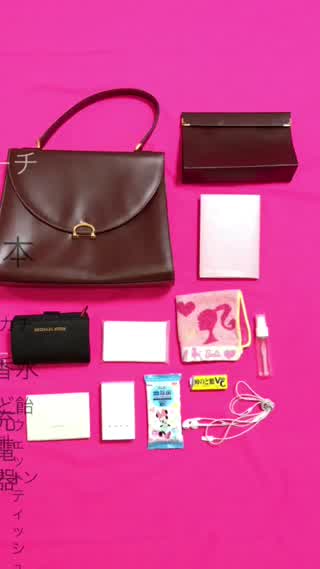 紗理奈のバッグの中身紹介！意外に参考になるかも？！