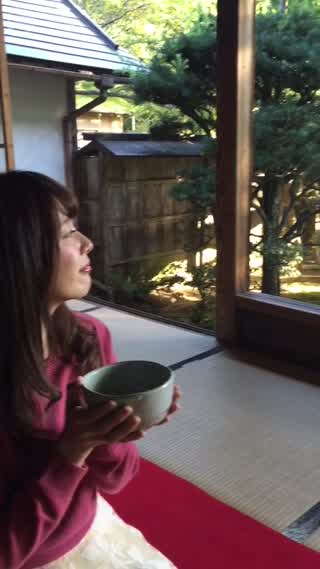 まるで額縁の絵を観ているよう！額縁庭園が美しい京都・大原の寺院【宝泉院】