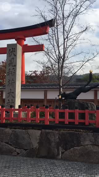 外国人に人気の観光スポット第一位！京都伏見稲荷に行ってみました♪