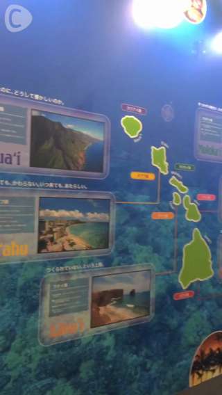 渋谷でハワイにいる気分♪HAWAII EXPO2015に行ってきた☆